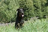 BEAUCERON 064